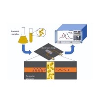 生物样本光学传感器中有色玻璃的利用
