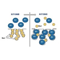什么是化学钢化？哪些光学镜片能够钢化？